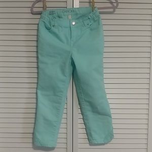 ❤️Cute aqua crops